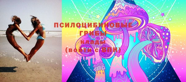 бутират Алзамай