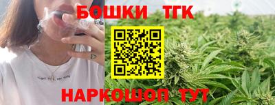 молекула духа Гатчина