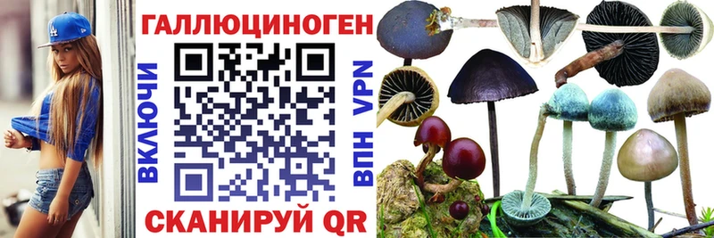 Галлюциногенные грибы MAGIC MUSHROOMS  Кудрово 