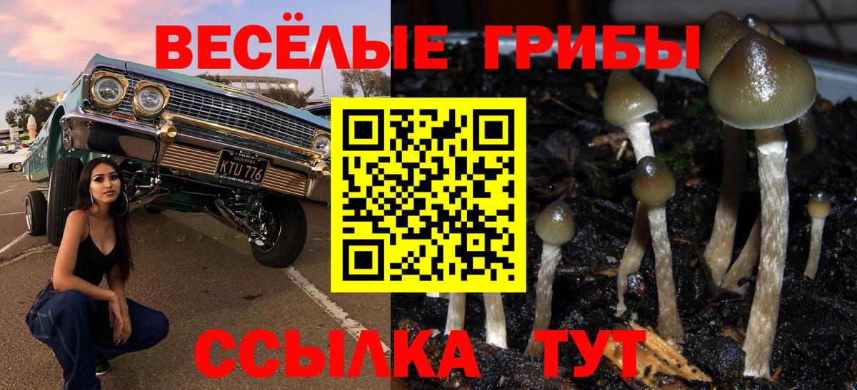 Кудрово  Галлюциногенные грибы мухоморы  Вход с VPN 